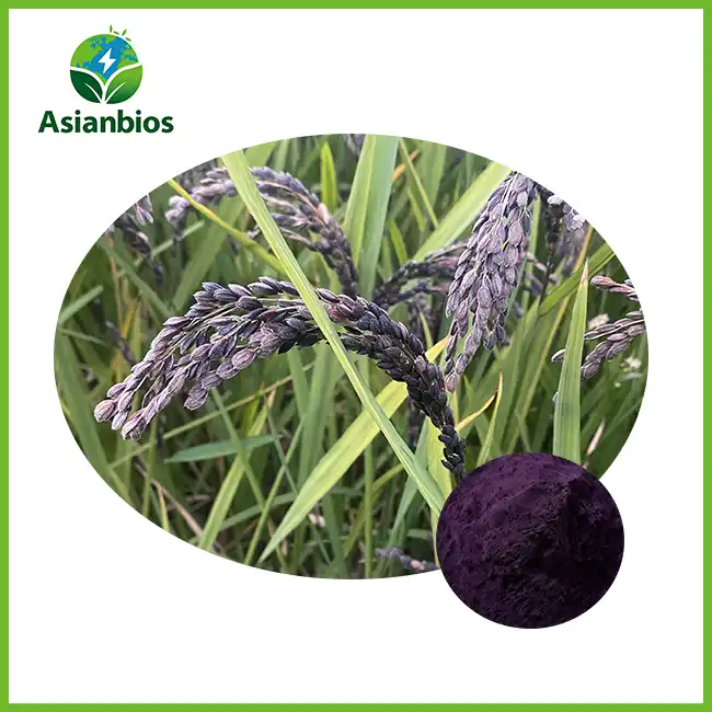 Black Rice Extract Powder